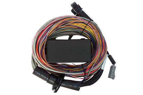 HT-140604 Elite 750 Premium Universal Wire-in Harness
